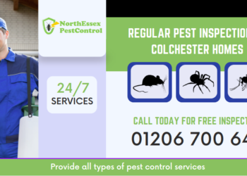 Pest Inspections