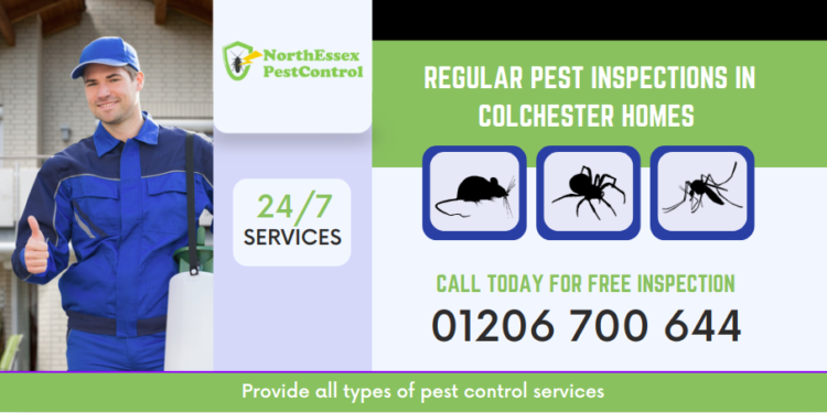 Pest Inspections
