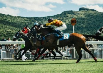 The Global Appeal of Gambling: Why It’s Popular in Every Culture