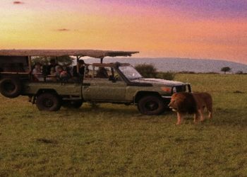 Tanzania Safaris Unveils New Luxury Adventure Packages for 2025