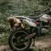 Your Bike, Your Style: The Ultimate Guide to Custom Motorcycle Design