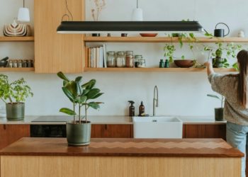 From Seed to Success: Embracing the Joy of Gardening