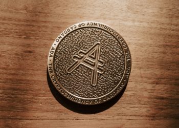 What are the altcoins with the highest investment potential?