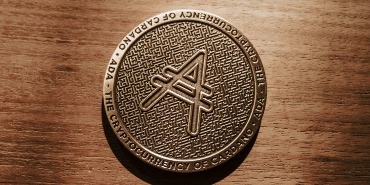 What are the altcoins with the highest investment potential?