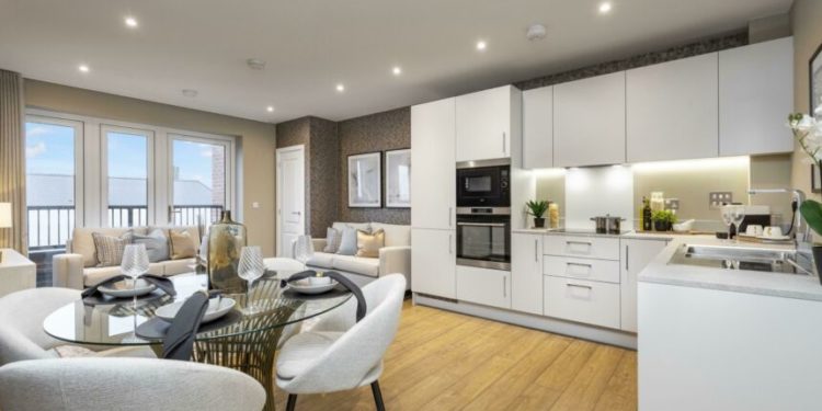 Ownership and New Build Homes