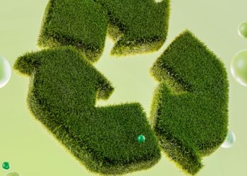 Shifting Attitudes Power the Push for Sustainability in Britain