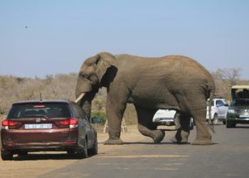 Mortice Deadlocks for University Libraries: Quiet Security That Works