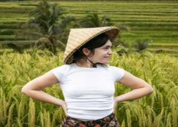 Brits Abroad: Mapping the Changing Face of British Expatriates in Asia