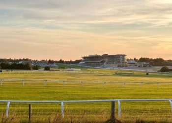 Cheltenham Festival market movers after a busy festive period