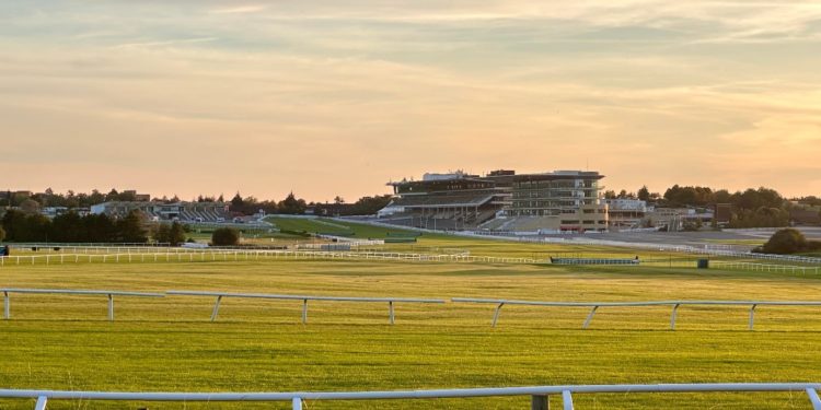 Cheltenham Festival market movers after a busy festive period
