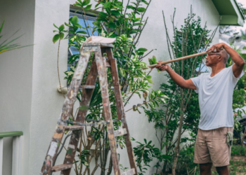 Eco-Friendly Home Cleanouts: A Guide to Responsible Waste Disposal