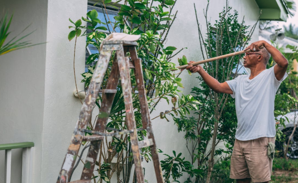 Eco-Friendly Home Cleanouts: A Guide to Responsible Waste Disposal