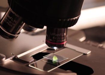 From Lab to Market: How New Scientific Discoveries are Transforming Business