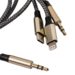 Aux Cables