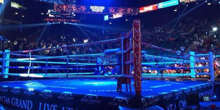 5 Reasons Watching Boxing Live is a Must for True Fans