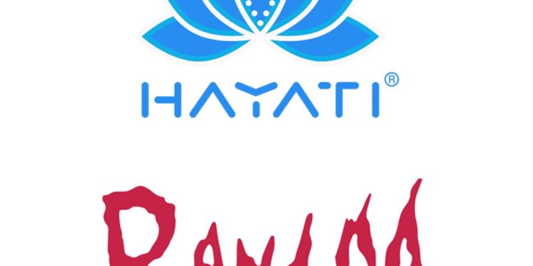 The Ultimate Guide to Buying Hayati and RandM Tornado Vapes Online
