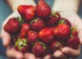 Staying nourished when life moves fast with guidance from a nutritional therapist in London