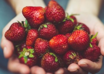 Staying nourished when life moves fast with guidance from a nutritional therapist in London