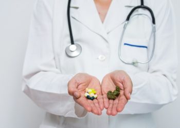 Understanding Medical Cannabis in the UK and the Role of Sativa Seeds