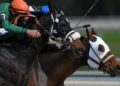 Cheltenham Festival Betting Guide: How to Pick Winners