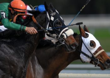 Cheltenham Festival Betting Guide: How to Pick Winners