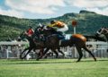 Is the Champion Chase already a foregone conclusion?