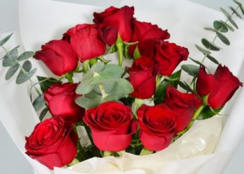 Valentine’s Day Gifts for Her: From Sweet Surprises to Timeless Classics