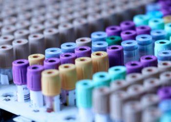 Drug Testing: Service Options Guide