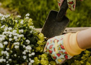 Home and Garden Improvements: Enhancing Comfort and Aesthetic Appeal