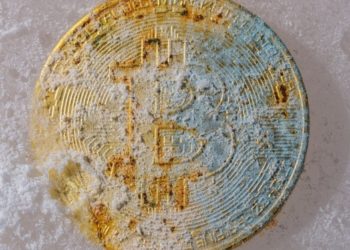 Fake Exchanges & Pump-and-Dump Schemes – How to Stay Safe