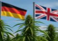 How the World Is Embracing Cannabis — And What the UK Can Learn
