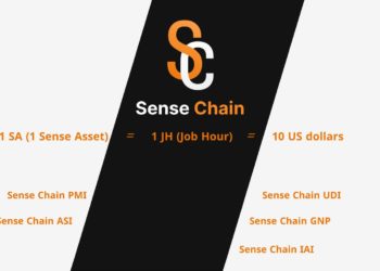 SENSE CHAIN