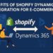 Shopify Dynamics