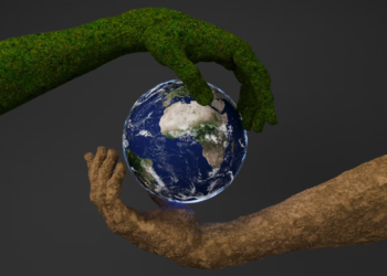 Sustainability Meets Strategy