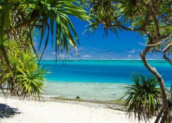 Vanuatu Passport in 2025: Everything You Need to Know