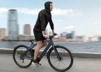 How to Safeguard Your PayPal Account: The Role of Disposable Numbers