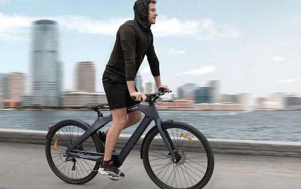 How to Safeguard Your PayPal Account: The Role of Disposable Numbers