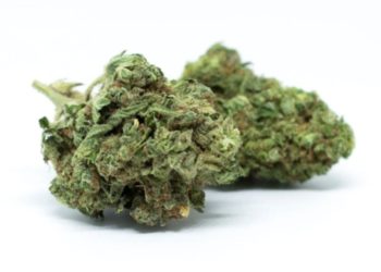 Unlock the Power of Grape Gas THCA – A Unique Cannabis Experience