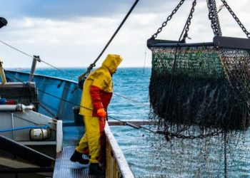 How Commercial Fishermen Get Ready for Rainy Workdays