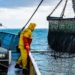 How Commercial Fishermen Get Ready for Rainy Workdays