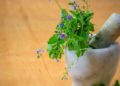 A Modern Guide to Plant-Based Relaxation