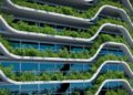 Building a Carbon-Competitive Advantage with Sustainability and Decarbonization Consulting