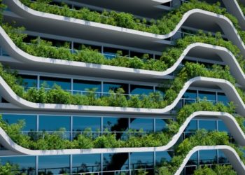 Building a Carbon-Competitive Advantage with Sustainability and Decarbonization Consulting
