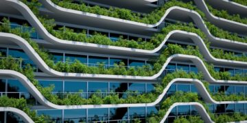 Building a Carbon-Competitive Advantage with Sustainability and Decarbonization Consulting