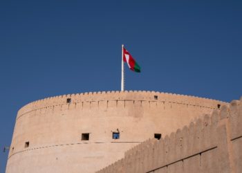 How Can a Limited Liability Company in Oman Benefit You?