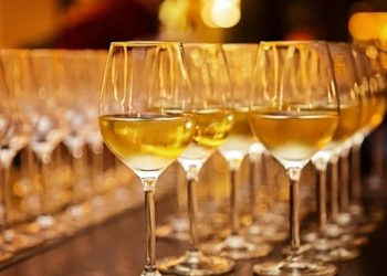 Wine Glass Storage Solutions for Mobile Caterers and Event Planners