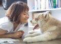 Pet Sitters