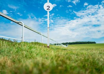 The last five winners of the Irish Derby