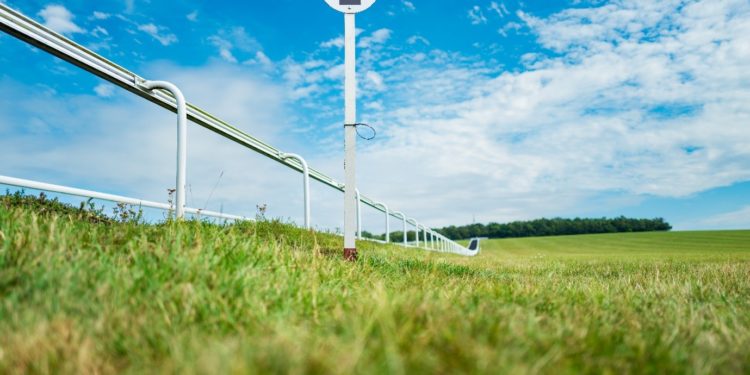 The last five winners of the Irish Derby
