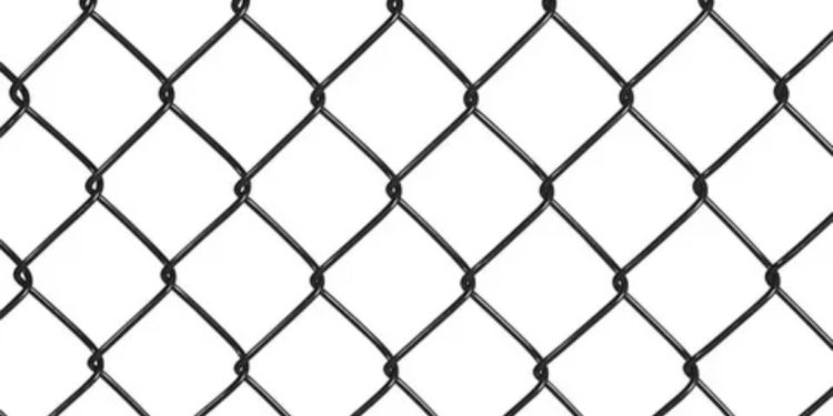 Chain Link for Fencing
